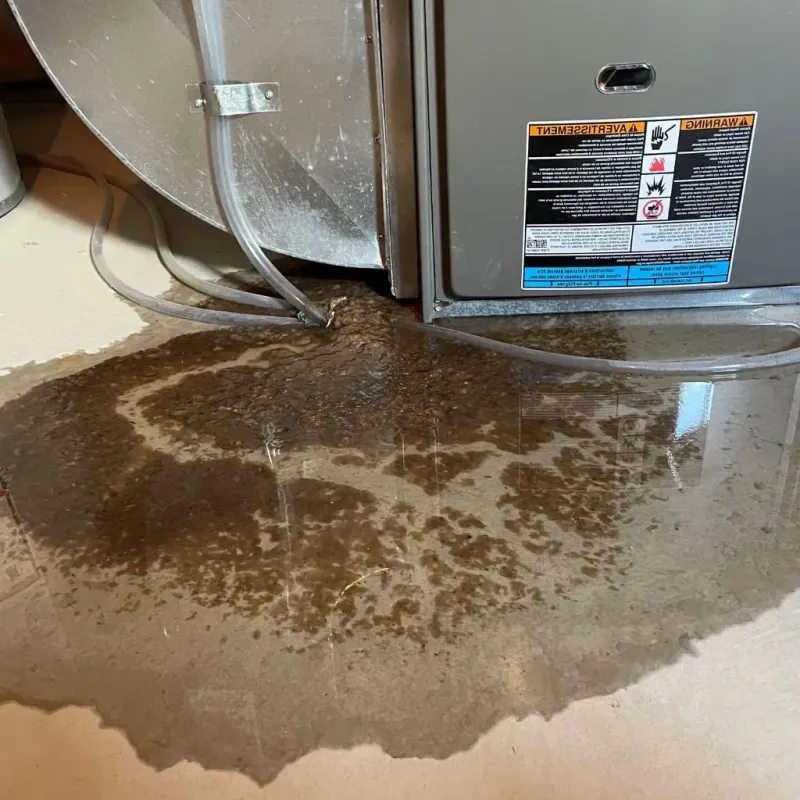 Pipe Burst and Leak Restoration in Orinda, CA